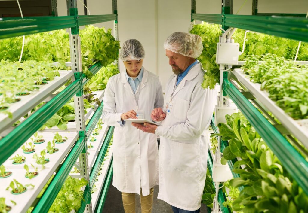 MRP Planning SAP Agribusiness