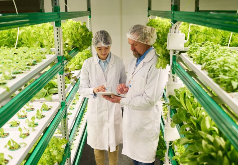 MRP Planning SAP Agribusiness