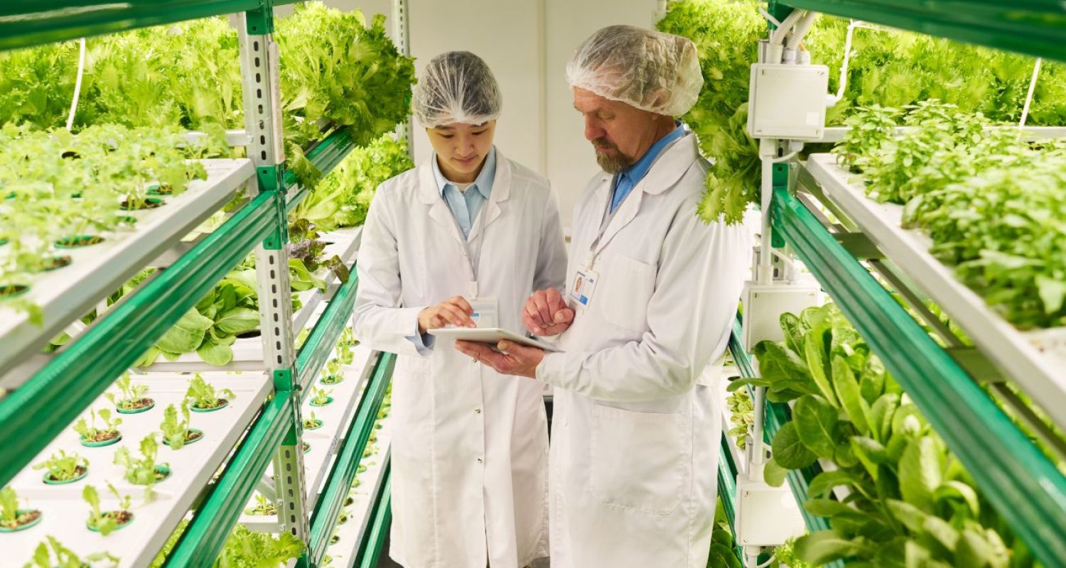 MRP Planning SAP Agribusiness